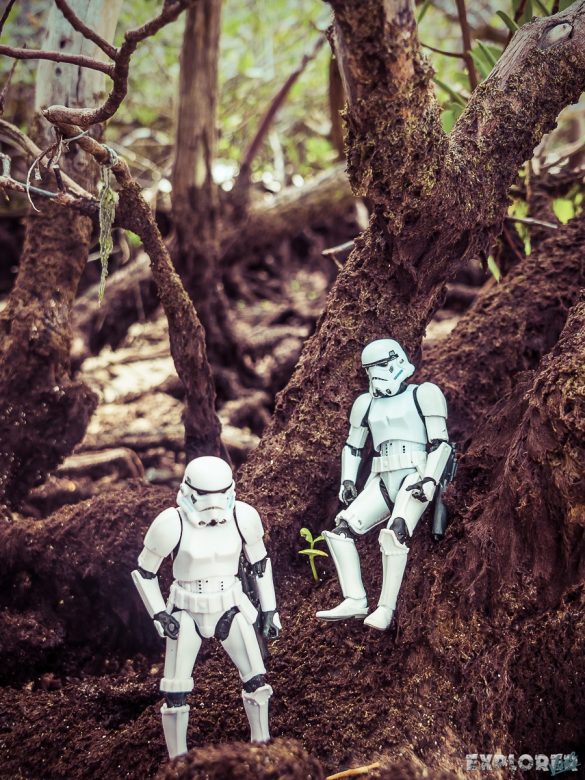 Ecuador Santa Cruz Galapagos Playa Alemanes Surfing Stormtrooper Backpacking Backpacker Travel 2 Ecuador Santa Cruz Galapagos Playa Alemanes Surfing Stormtrooper Backpacking Backpacker Travel