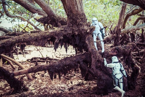 Ecuador Santa Cruz Galapagos Playa Alemanes Surfing Stormtrooper Backpacking Backpacker Travel