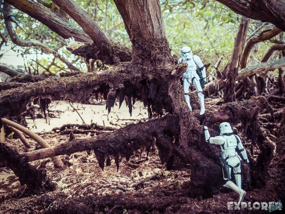 Ecuador Santa Cruz Galapagos Playa Alemanes Surfing Stormtrooper Backpacking Backpacker Travel Ecuador Santa Cruz Galapagos Playa Alemanes Surfing Stormtrooper Backpacking Backpacker Travel