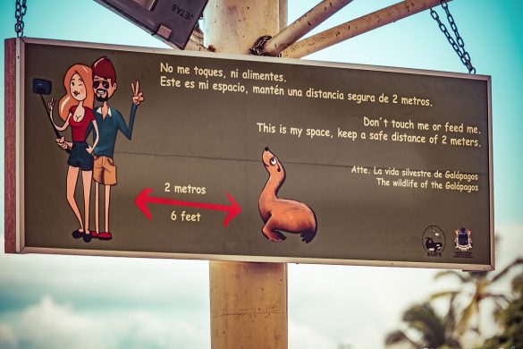 Ecuador Santa Cruz Galapagos Sign Backpacking Backpacker Travel