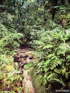 Ecuador Tena Jungle Hiking backpacker backpacking travel