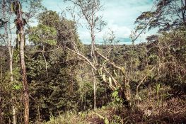 Ecuador Tena Jungle Hiking backpacker backpacking travel