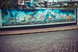 Ecuador Tena Mural backpacker backpacking travel 