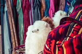 Equador Otavalo Market Dolls Backpacking Backpacker Travel
