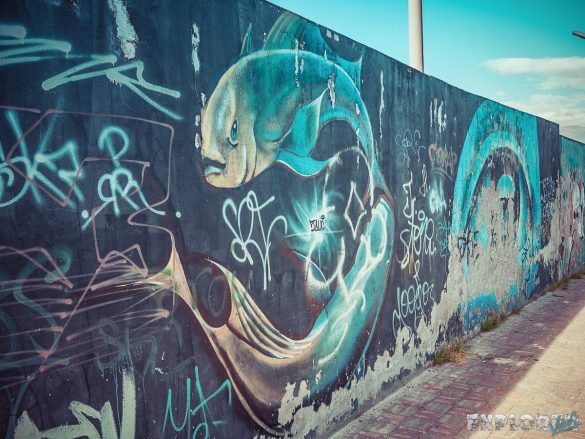 Equador Quito Alamor Graffiti Backpacking Backpacker Travel