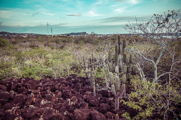 Galapagos San Cristobal Backpacking Backpacker Travel