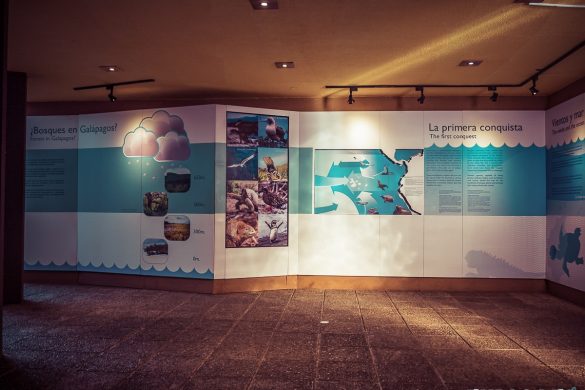 Galapagos San Cristobal Centro de Interpretacion Backpacking Backpacker Travel