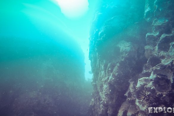 Galapagos San Cristobal Kicker Rock Scuba Diving Backpacking Backpacker Travel