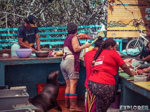 Galapagos Santa Cruz Fish Market Backpacking Backpacker Travel