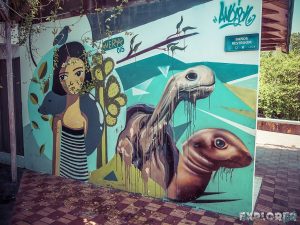 Galapagos Santa Cruz Graffiti Backpacking Backpacker Travel