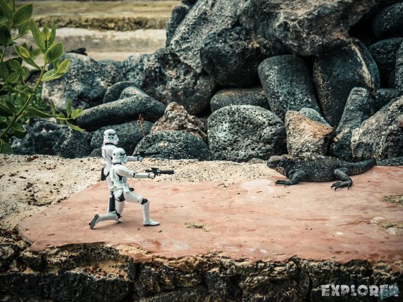 ecuador isabela galapagos iguana surfing stormtrooper backpacker backpacking travel ecuador isabela galapagos iguana surfing stormtrooper backpacker backpacking travel