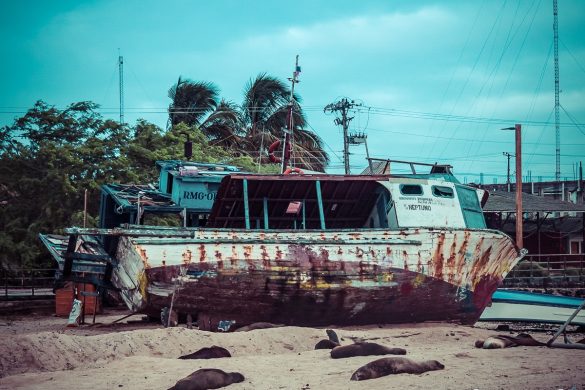 ecuador san cristobal galapagos wreckbay sealions backpacker backpacking travel