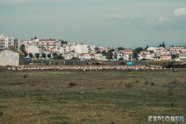 portugal algarve storks backpacking backpacker travel 2